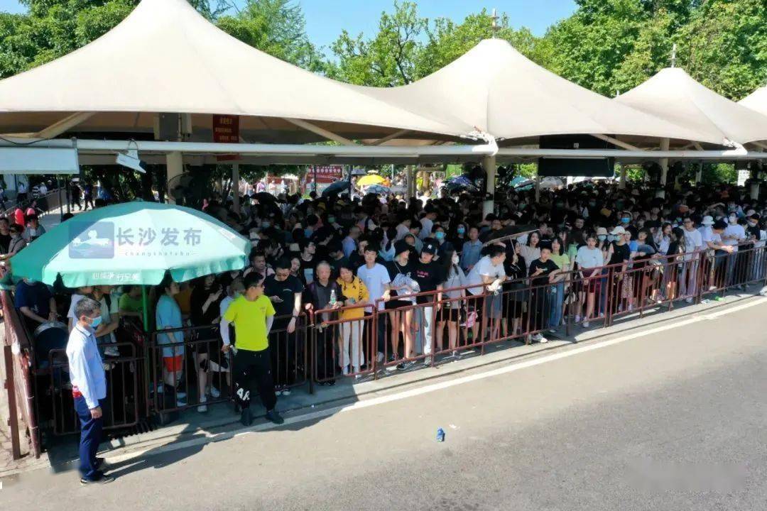 长沙游客吐槽_神吐槽吐槽_两游客遭老虎袭击 只因游客不听劝告私自下车闯大祸