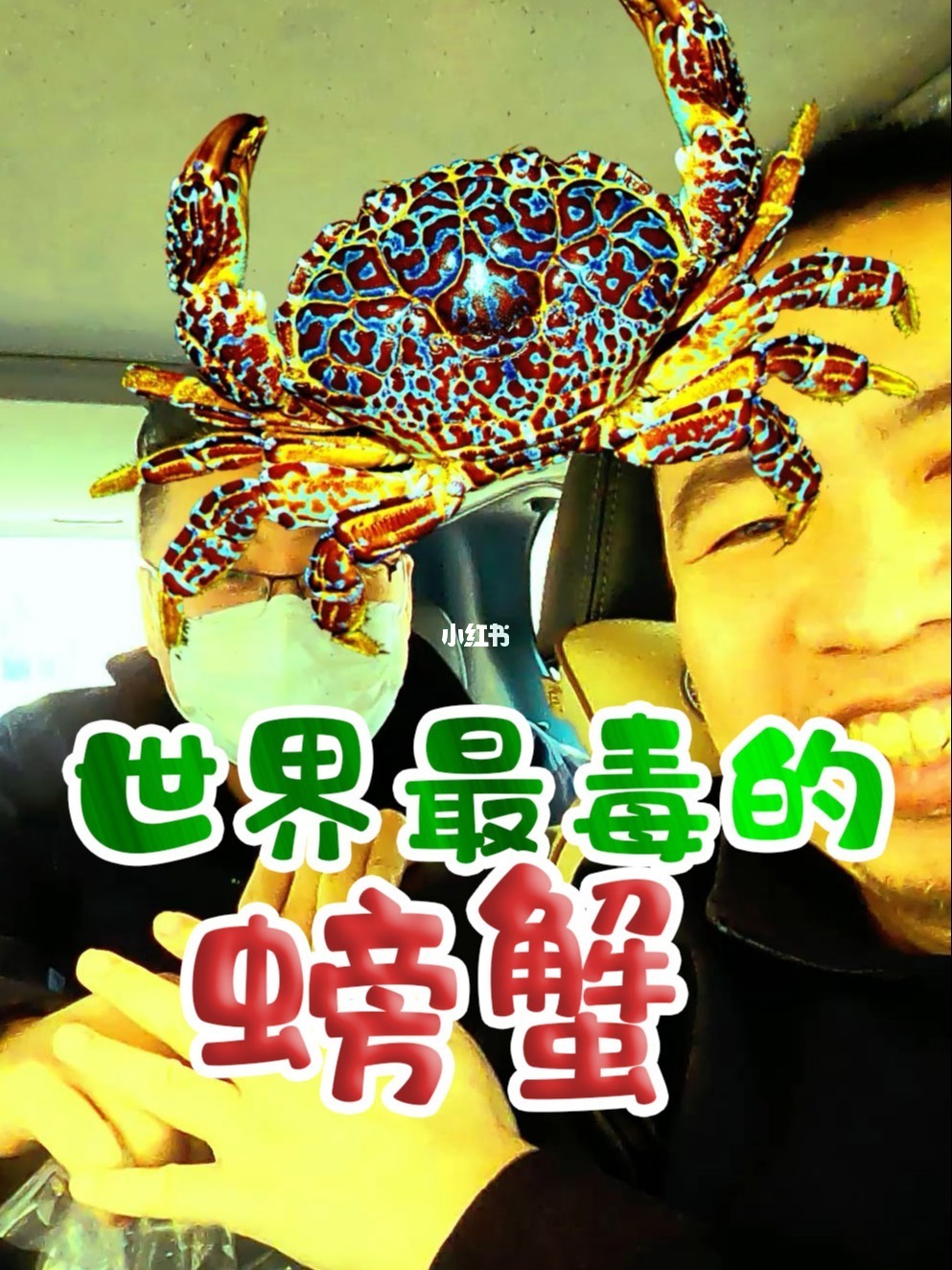 蓝环章鱼后现毒螃蟹_蓝环章鱼的天敌是谁_毒后给本王暖脚第71章