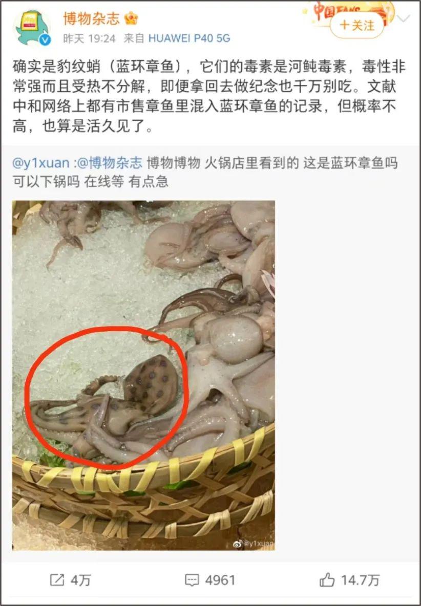 毒后重生妾本嫡出29章_蓝环章鱼后现毒螃蟹_蓝环瘟毒康购买