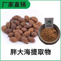 森冉生物 胖大海提取物 大洞果提取物 植物提取原料粉