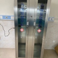 不锈钢内镜双门储存柜