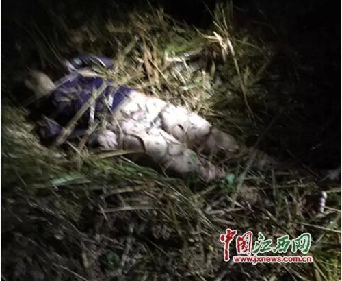 蚂蚁集团辟谣网传相关人员入股_神探李昌钰辟谣网传胡鑫宇案论断_神探李昌钰肯尼迪遇刺案