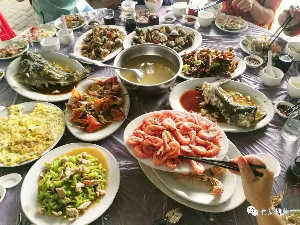 游客北海用餐被宰_游客点4道菜花费近千元怀疑被宰_翼日进宰宰见其小翻译