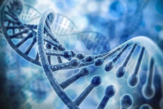 科学家呼吁停用默沙东新冠口服药_黛力新停用3天症状_如何科学停用米诺地尔