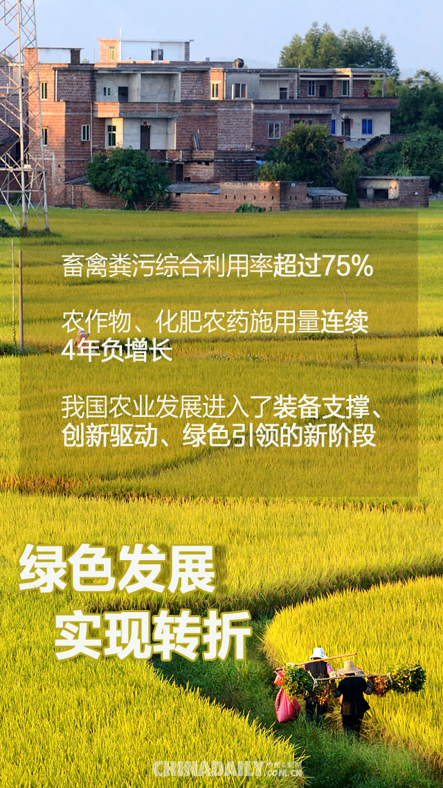 乡村振兴战略推进会议_推进乡村振兴 今年中央一号文件公布_环境治理推进乡村振兴