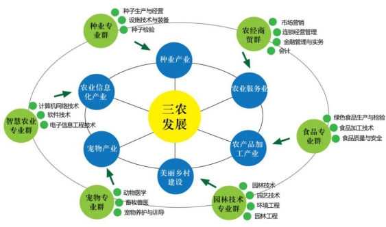 推进乡村振兴 今年中央一号文件公布_推进乡村振兴工作进展情况_环境卫生整治,推进乡村振兴