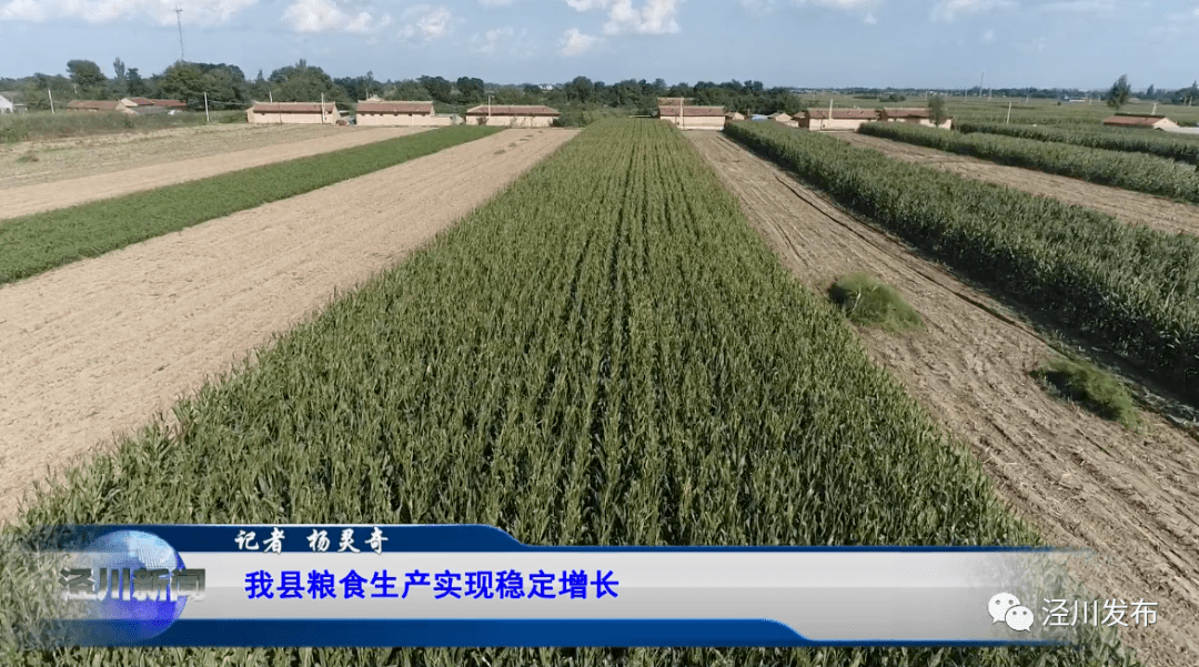 推进乡村振兴工作进展情况_推进乡村振兴 今年中央一号文件公布_推进乡村振兴战略时间规划