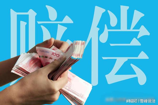 老板与警察冲突 赔钱获谅解后又被捕_工作期间受伤老板不赔钱_诏安南湖老板赔钱