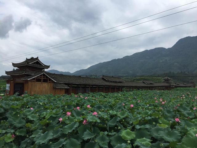 广西著名景区三江布央突发大火_长沙旅游大巴突发大火_广西三江丹洲景区