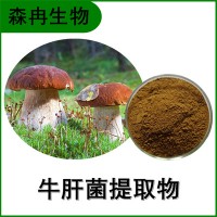 森冉生物 牛肝菌提取物 牛肝菌多糖 多种规格