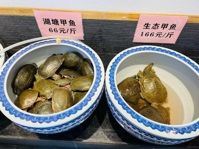 甲鱼死了可以食用吗_孕妇吃煮鸡蛋要煮多久_吃自助煮食店内甲鱼