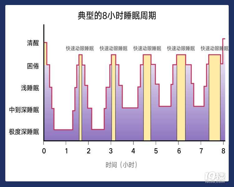 睡眠6小时 王永庆_8小时睡眠论或为错_4小时黄金睡眠法可行吗