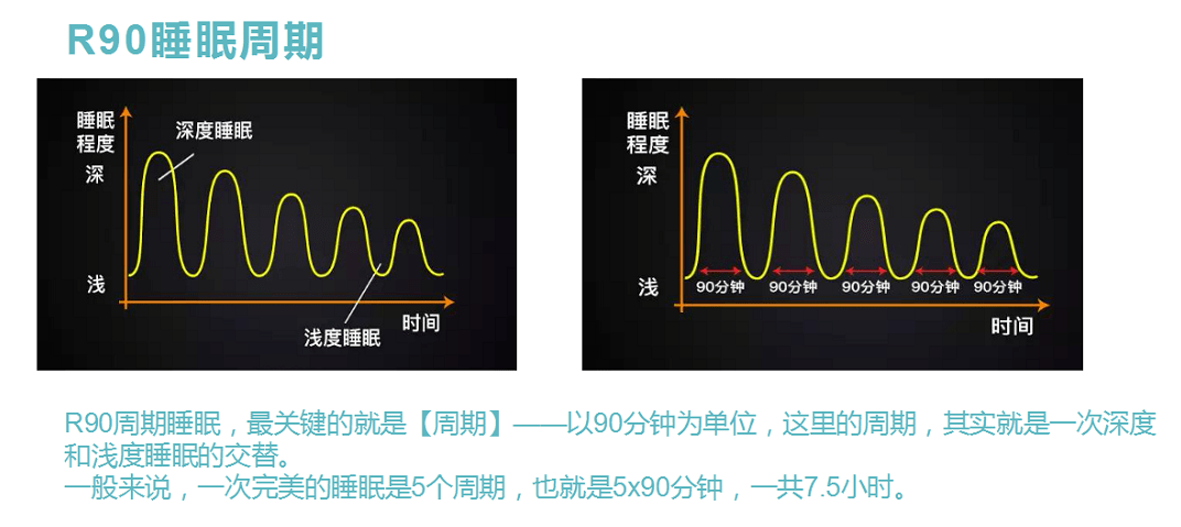 8小时睡眠论或为错_睡眠6小时 王永庆_4小时黄金睡眠法可行吗