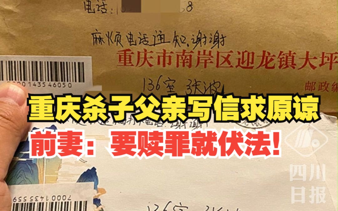 合肥携子女坠亡母亲遗言_失手坠亡案判决_姐弟坠亡案母亲回应