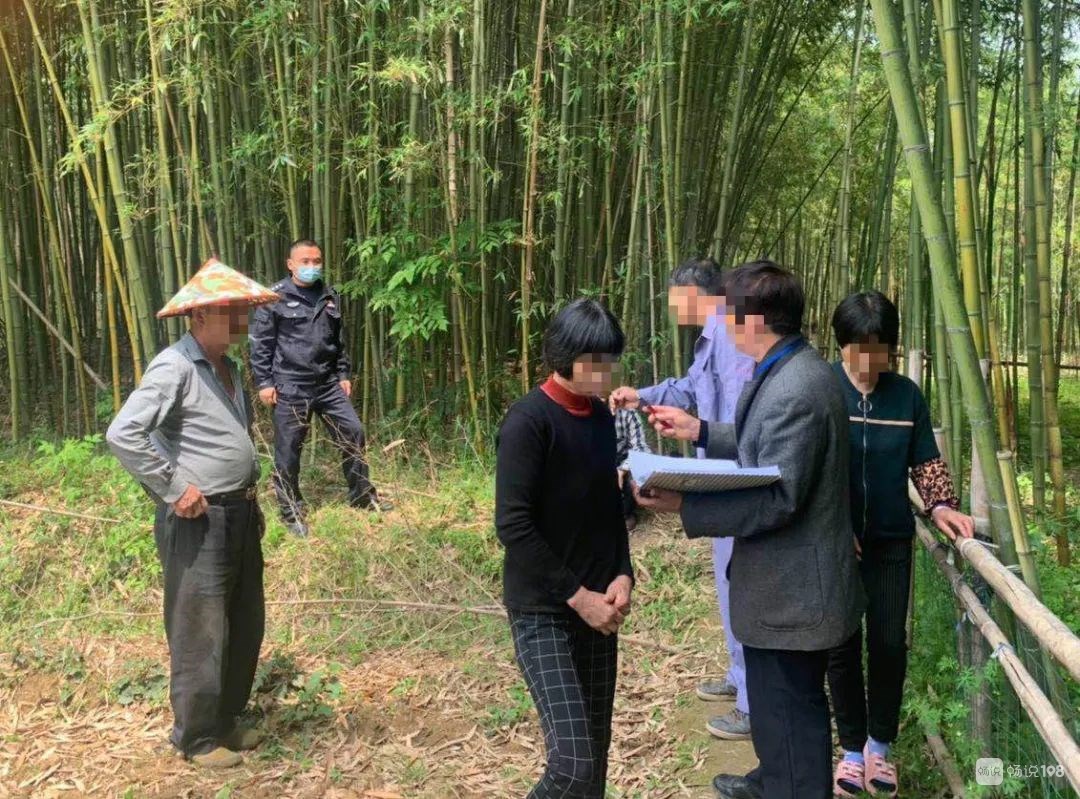 村民挖笋时与承包方起冲突多人受伤_挖笋的作文_五一节挖笋的作文4