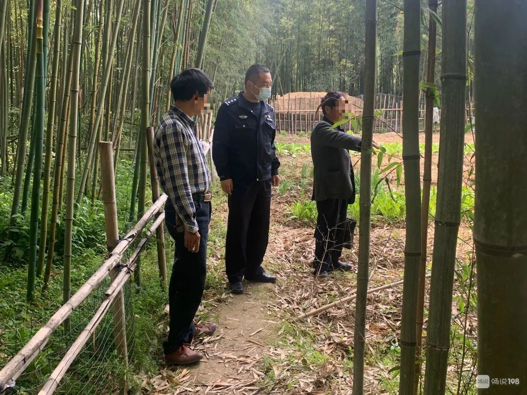五一节挖笋的作文4_挖笋的作文_村民挖笋时与承包方起冲突多人受伤