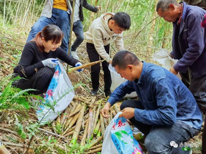 当你跟孩子起冲突时，怎么办_部落冲突宝箱挖不挖_村民挖笋时与承包方起冲突多人受伤