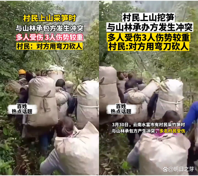 村民挖笋时与承包方冲突致多人受伤！警方已经介入！