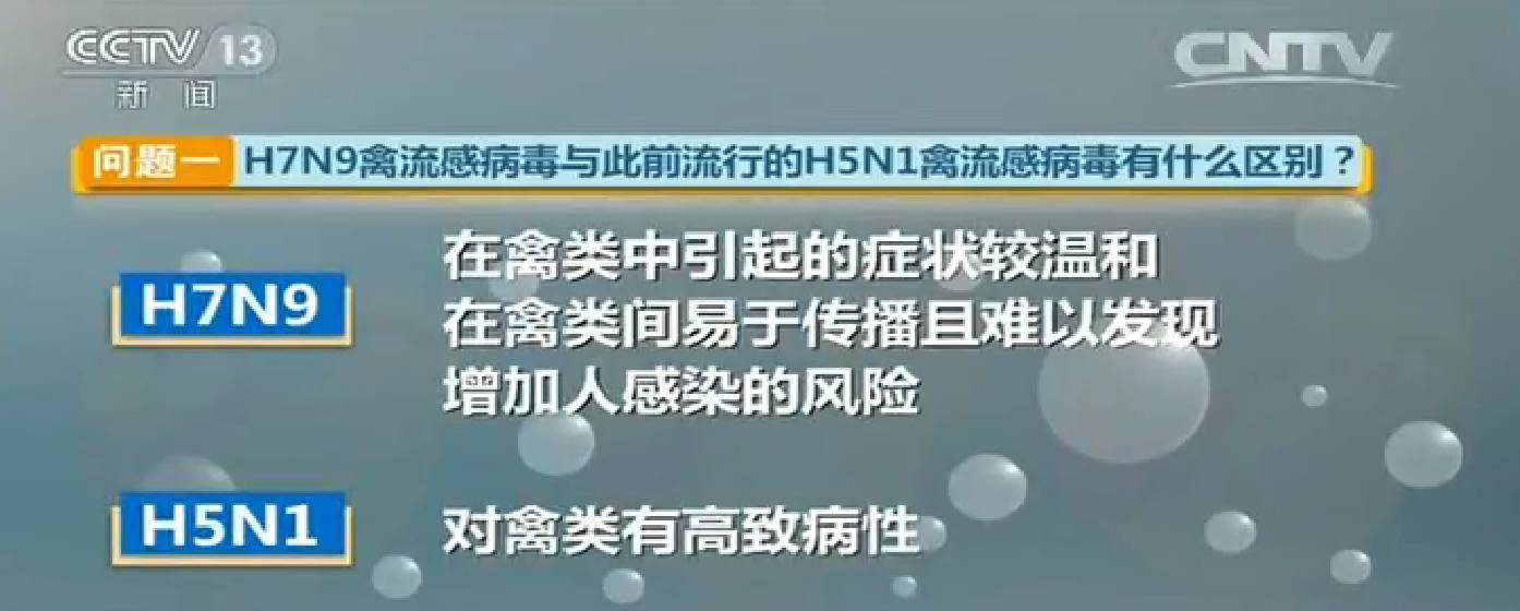 禽流感或导致大流行_禽甲型流感病毒感染_比世界末日更可怕的预言：大流感