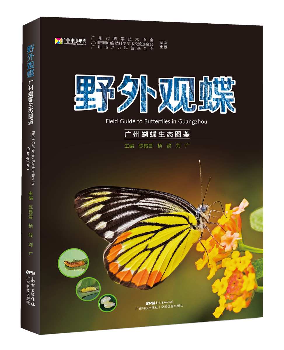 绕口令/儿童益智读物_儿童读物脏话连篇_一年级儿童推荐读物