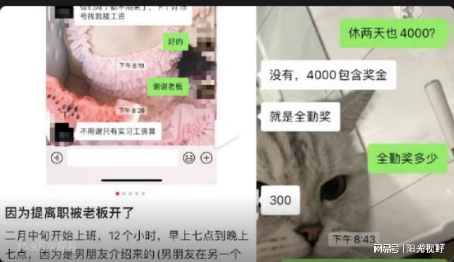 离职男友被一并开除_自动离职和开除的区别_自动离职和开除