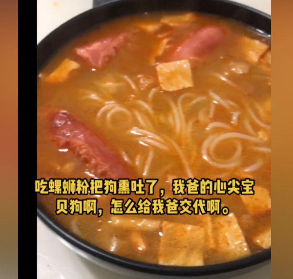 狗吃多了会吐一点没事吧_大胖子放屁把人熏吐_吃螺蛳粉把狗熏吐