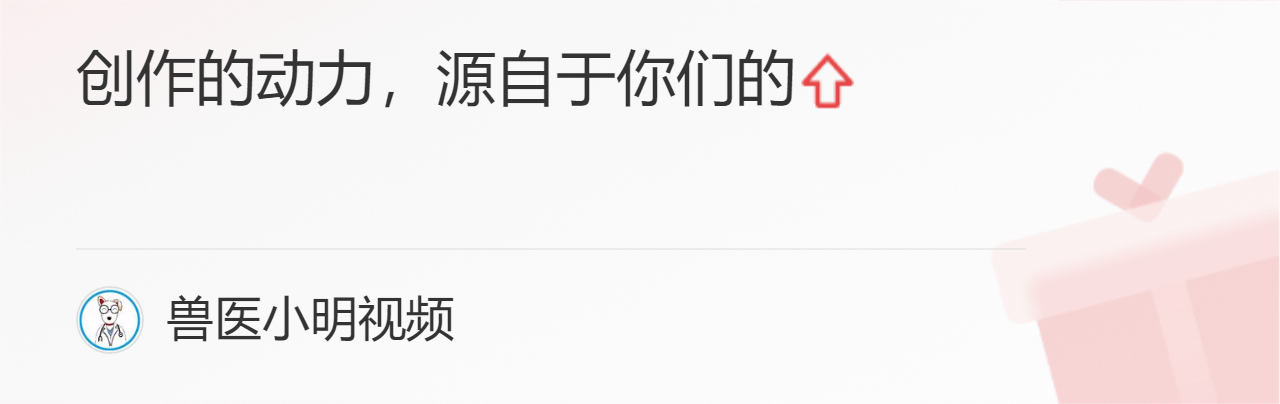 狗吃多了会吐一点没事吧_吃螺蛳粉把狗熏吐_大胖子放屁把人熏吐