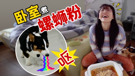 大胖子放屁把人熏吐_狗吃多了会吐一点没事吧_吃螺蛳粉把狗熏吐