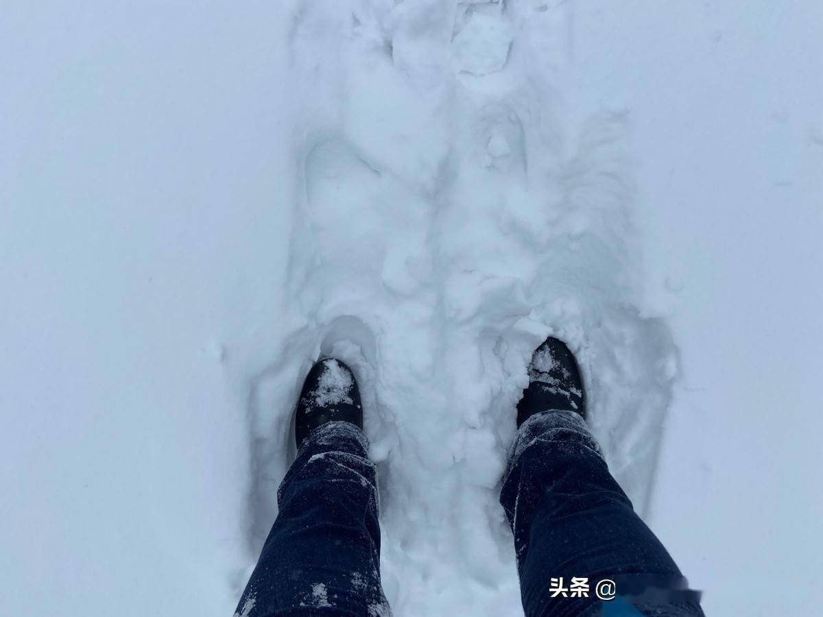降雪过程_降雪天气_内蒙古降雪