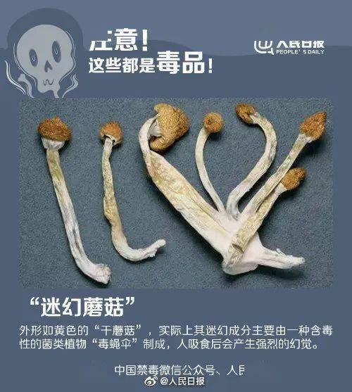彩妆达人仿妆爆红 穿越千年唐朝仕女妆_不要模仿毒虫仿妆_仿妆达人明星仿妆