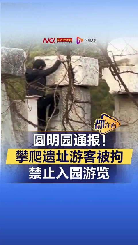 兵马俑三号坑有什么俑_游客翻护栏进入兵马俑俑坑被拘留_兵马俑里面的骑兵俑怎么形容
