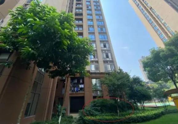 马跃地铁坠亡案_姐弟坠亡案母亲回应_合肥携子女坠亡母亲遗言