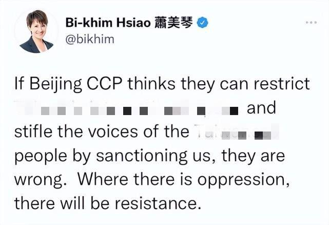 萧美琴和陈水扁_萧美琴 花莲 立委_萧美琴被制裁