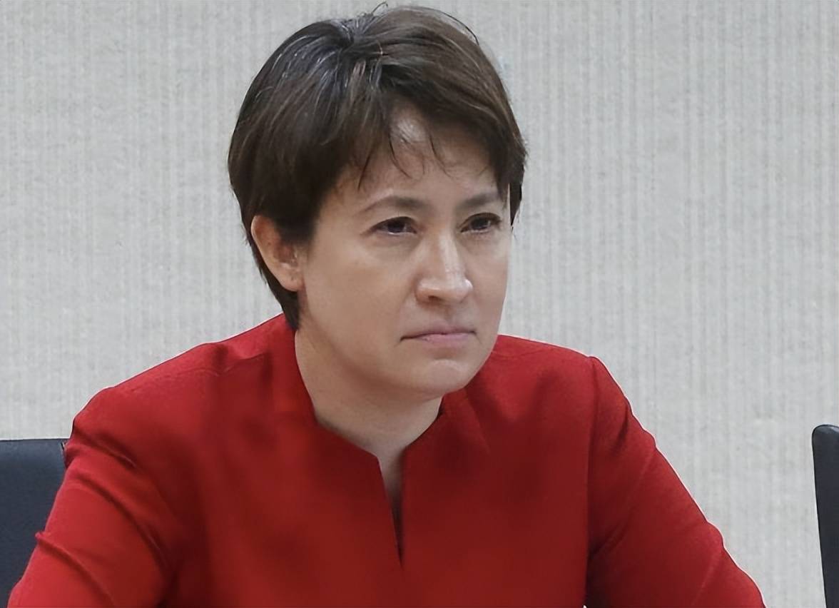 萧美琴和陈水扁_萧美琴 花莲 立委_萧美琴被制裁