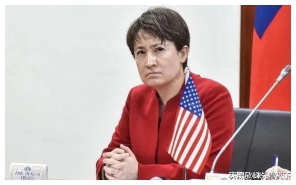 萧美琴_萧美琴与王廷升_萧美琴被制裁