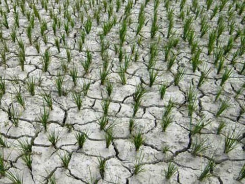 滂沱而下的雨人们叫它_清明时节雨滂沱_梅时节家家雨