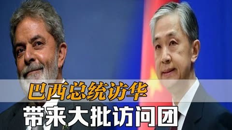 卢拉,巴西之子_卢拉开启第五次访华_巴西总统卢拉中国