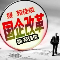 国有控股企业混合所有制改革