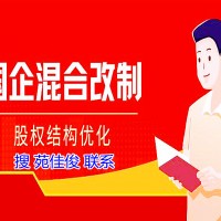 国企混改私企操作方式要求是什么