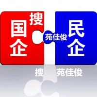 民营企业与国有企业混改的政策规定