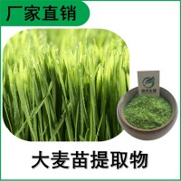 森冉生物 大麦苗提取物 大麦苗粉 大麦苗汁粉 食品原料粉