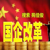 民营企业与国有企业混改所有制改革方式流程