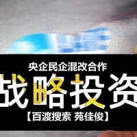 央企混改民营企业参与央企混改的条件