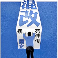 民企和国有企业混改架构方式程序步骤