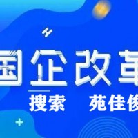 民企混改为国有企业的方式要求条件