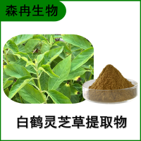 森冉生物 白鹤灵芝提取物 大叶灵芝草提取物 植物提取原料粉