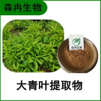 森冉生物 大青叶提取物 臭大青提取物 比例提取原料粉