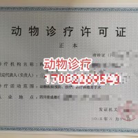 成都市高新区动物诊疗许可证办理指南具体条件材料流程