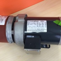 美国MARATHON电动机