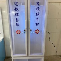 有机内窥镜单门双门储存柜悬挂柜